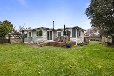Photo of property in 193 Cambridge Avenue, Ashhurst, 4810
