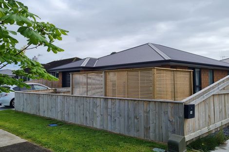 Photo of property in 1b Trewin Street, Feilding, 4702