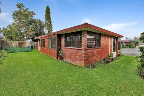 Photo of property in 45a Vogel Street, Cambridge, 3434