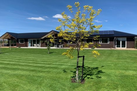 Photo of property in 272 Letts Gully Road, Letts Gully, Alexandra, 9393