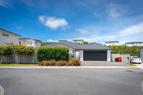 Photo of property in 15 Belize Grove, Grenada Village, Wellington, 6037