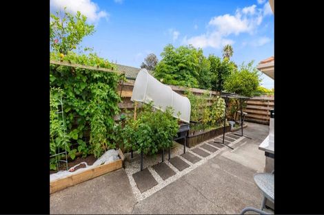 Photo of property in 10 Abelia Avenue, Mount Maunganui, 3116