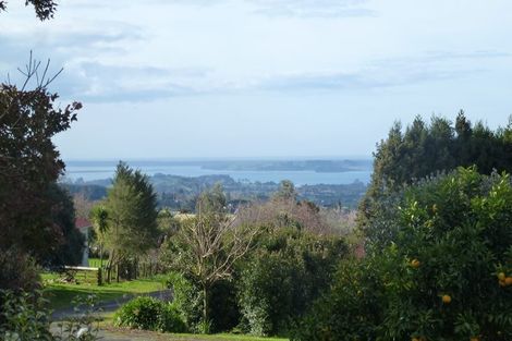 Photo of property in 46 Laurel Drive, Whakamarama, Tauranga, 3179