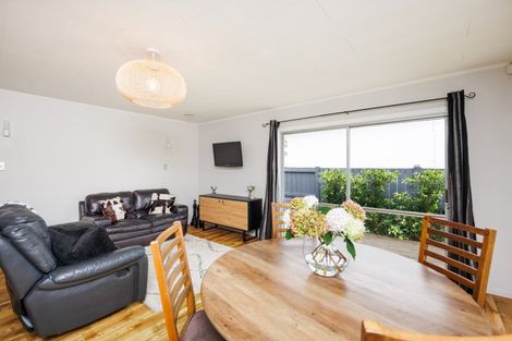 Photo of property in 88a Brightwater Terrace, Terrace End, Palmerston North, 4410