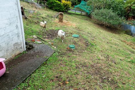 Photo of property in 19 Tui Street, Piopio, 3912