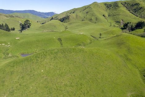 Photo of property in 2472 Opaki Kaiparoro Road, Eketahuna, 4994