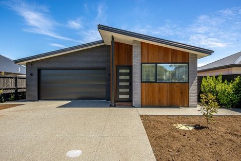 Photo of property in 31 Muirhill Street, Halswell, Christchurch, 8025