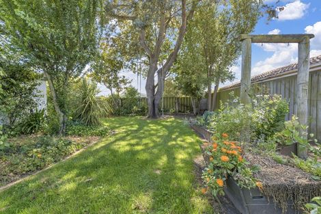 Photo of property in 80 South Belt, Rangiora, 7400