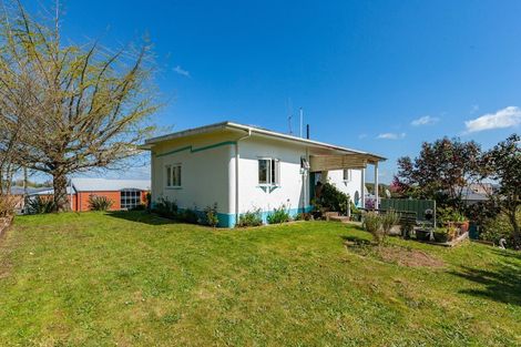 Photo of property in 65 Arapuni Street, Putaruru, 3411