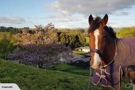 Photo of property in 57 Pukerimu Lane, Cambridge, 3495