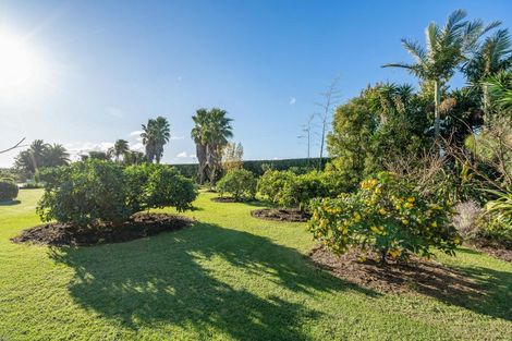 Photo of property in 650 One Tree Point Road, Ruakaka, Whangarei, 0171