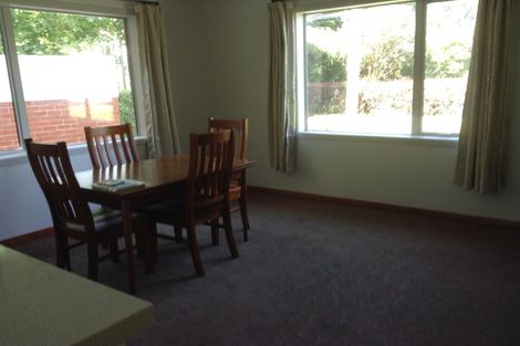 Photo of property in 3 Avon Street, Roslyn, Dunedin, 9010