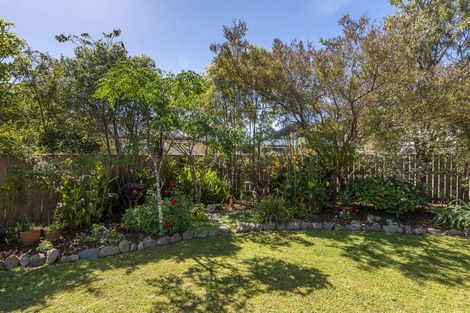 Photo of property in 63 Ruapehu Street, Paraparaumu, 5032
