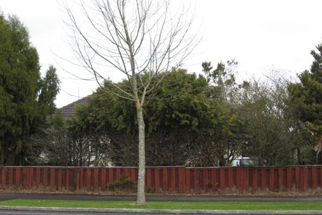 Photo of property in 172 Clyde Street, Hamilton East, Hamilton, 3216