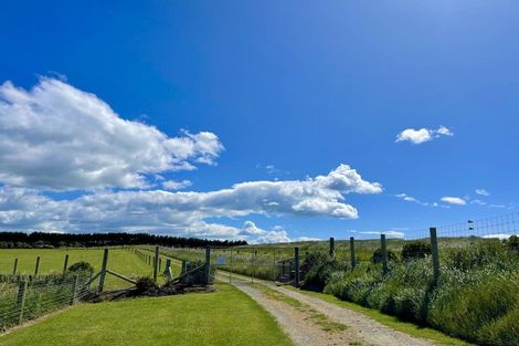 Photo of property in 964 Waianakarua Road, Herbert, 9495