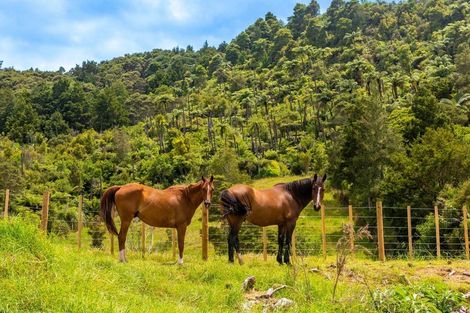 Photo of property in 542 Duddy Road, Rawene, Kaikohe, 0473
