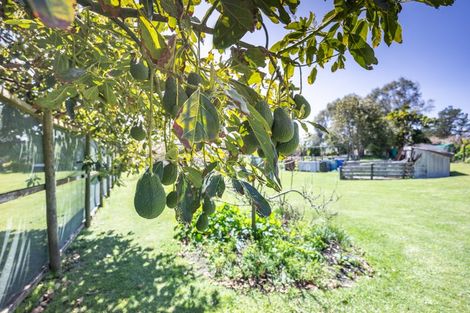 Photo of property in 461 Notorious Road West, Mahuta, Dargaville, 0371