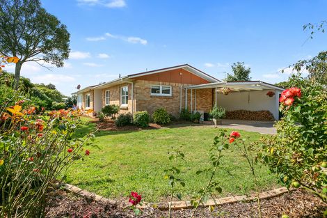 Photo of property in 8 Beatty Road, Matamata, 3400
