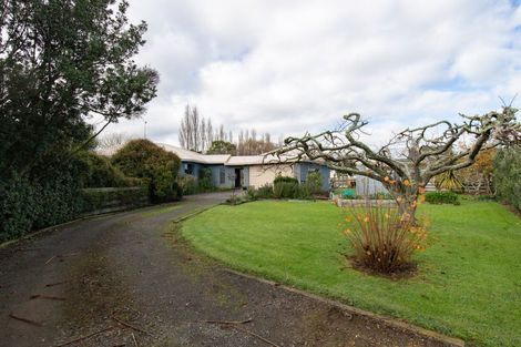 Photo of property in 695 Hauraki Road, Turua, Thames, 3574