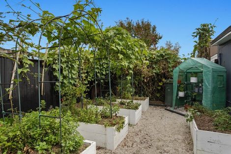 Photo of property in 11 Ward Street, Kawerau, 3127