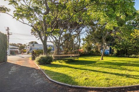 Photo of property in 36 Ruawai Road, Mount Wellington, Auckland, 1060