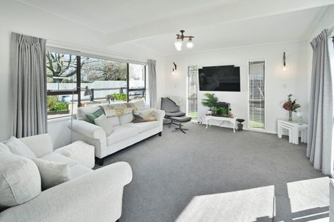 Photo of property in 505 Poplar Place, Akina, Hastings, 4122