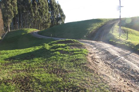 Photo of property in 181 Link Road, Wairakei, Taupo, 3384