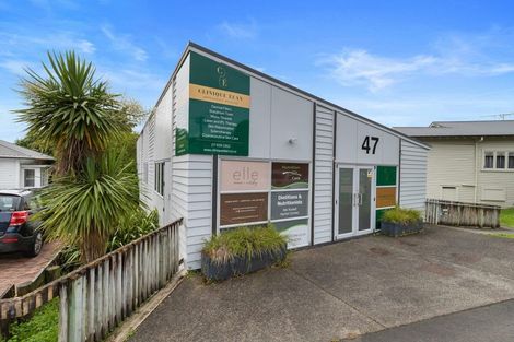Photo of property in 82 Palmerston Street, Hamilton Lake, Hamilton, 3204