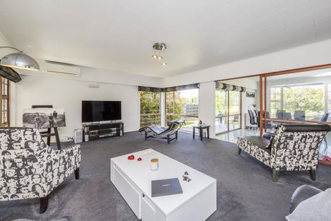 Photo of property in 33 Dittmer Drive, Awapuni, Palmerston North, 4412