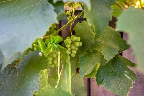 Photo of property in 1/15a Lane Street, Wallaceville, Upper Hutt, 5018