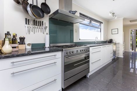 Photo of property in 31 Mcleod Street, Elderslea, Upper Hutt, 5018