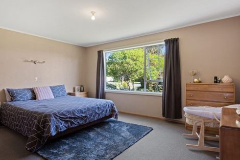 Photo of property in 169 Redwood Street, Witherlea, Blenheim, 7201