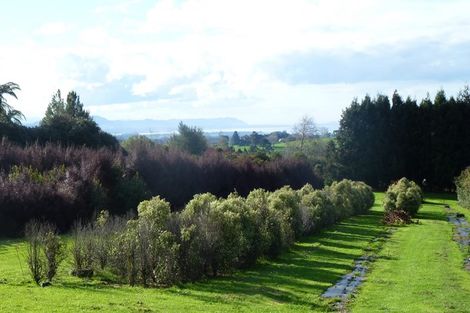 Photo of property in 46 Laurel Drive, Whakamarama, Tauranga, 3179