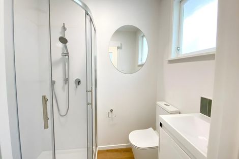 Photo of property in 3/67 Second Avenue, Kingsland, Auckland, 1021