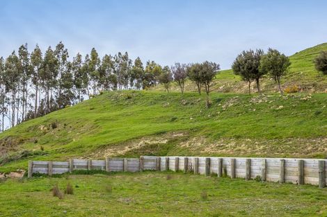 Photo of property in 48 Norsewood Ormondville Road, Norsewood, 4974