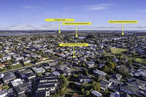Photo of property in 12 Boon Street, Manurewa, Auckland, 2102