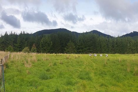 Photo of property in 535 Craigie Lea Road, Te Wharau, Masterton, 5883