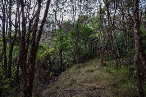 Photo of property in 980 Buffalo Road, Coromandel, 3506