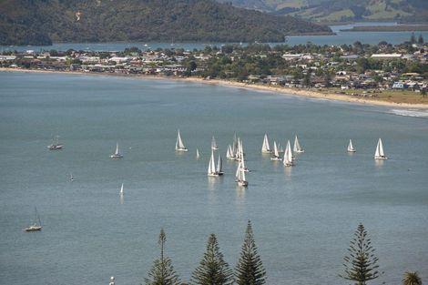 Photo of property in 8 Oribi Place, Whitianga, 3510