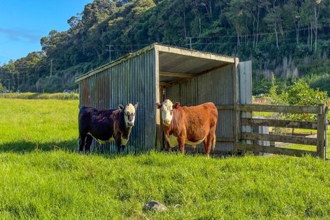 Photo of property in 191 Ngati Maru Sh25 Highway, Kopu, Thames, 3578