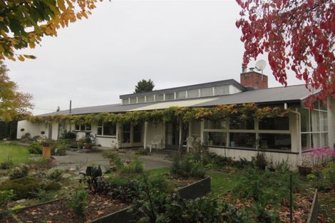 Photo of property in 20 Connolly Street, Geraldine, 7930