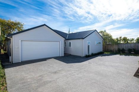Photo of property in 49a Napier Road, Havelock North, 4130