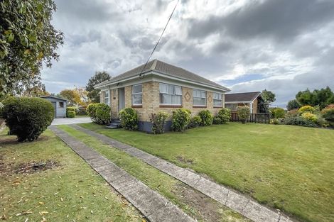 Photo of property in 58 Neal Street, Putaruru, 3411