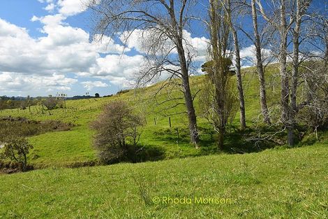 Photo of property in 41 Manurere Rise, Tinopai, 0593