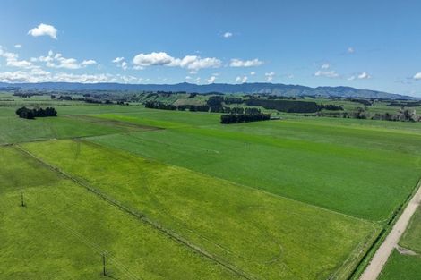 Photo of property in 1678 Kimbolton Road, Cheltenham, Feilding, 4777