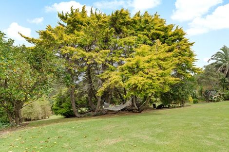 Photo of property in 236 Kiwitahi Road, Helensville, 0875