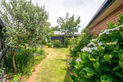 Photo of property in 19 Mckendry Street, Redwoodtown, Blenheim, 7201