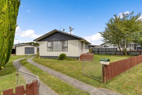 Photo of property in 151 Grampian Street, Tokoroa, 3420