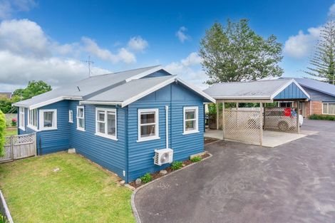 Photo of property in 80 Mahoe Street, Melville, Hamilton, 3206