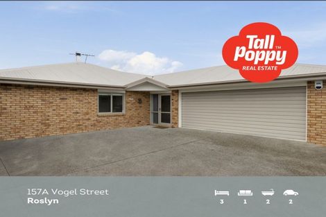 Photo of property in 157a Vogel Street, Roslyn, Palmerston North, 4414
